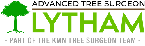 Lytham Tree Surgeon